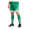 adidas Squadra 25 Short Grün - gruen