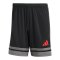 adidas Squadra 25 Short Schwarz - schwarz