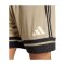 adidas Squadra 25 Short Schwarz - schwarz