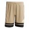 adidas Squadra 25 Short Schwarz - schwarz