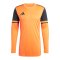 adidas Squadra 25 Torwarttrikot Orange - orange