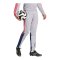 adidas Squadra 25 Trainingshose Grau - grau