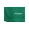 adidas Squadra 25 Trainingsjacke Kids Grün - gruen