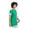 adidas Squadra 25 Trikot Damen Grün - gruen