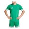 adidas Squadra 25 Trikot Grün - gruen