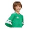 adidas Squadra 25 Trikot Kids Grün - gruen