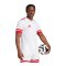 adidas Squadra 25 Trikot Weiss - weiss