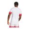 adidas Squadra 25 Trikot Weiss - weiss