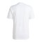 adidas Squadra 25 Trikot Weiss - weiss
