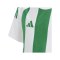 adidas Striped 24 Trikot Kids Weiss Grün - weiss