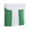 adidas Striped 24 Trikot Kids Weiss Grün - weiss