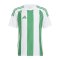 adidas Striped 24 Trikot Kids Weiss Grün - weiss