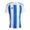 adidas Striped 24 Trikot Weiss Blau - weiss