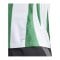 adidas Striped 24 Trikot Weiss Grün - weiss