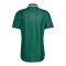 adidas Südafrika Authentic Trikot Away 2026 Grün - gruen