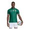 adidas Südafrika Authentic Trikot Away 2026 Grün - gruen