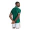 adidas Südafrika Authentic Trikot Away 2026 Grün - gruen