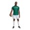 adidas Südafrika Authentic Trikot Away 2026 Grün - gruen