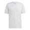 adidas Tabela 23 Trikot Grau Weiss - grau