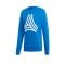 adidas Tango Graphic Sweatshirt Blau - blau