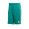 adidas Tastigo 19 Short Grün Gelb - gruen