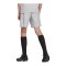 adidas Tastigo 25 Short Kids Grau - grau