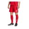 adidas Tastigo 25 Short Rot - rot