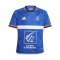 adidas Team FFF Frankreich HB Trikot Kids Blau - blau