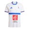 adidas Team FFF Frankreich HB Trikot Weiß - weiss