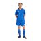 adidas Team Icon 25 Trikot Hellblau - blau