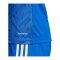 adidas Team Icon 25 Trikot Hellblau - blau