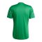 adidas Team Icon 25 Trikot Grün - gruen
