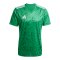 adidas Team Icon 25 Trikot Grün - gruen
