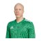 adidas Team Icon 25 Trikot Grün - gruen