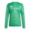 adidas Team Icon 25 Trikot Grün - gruen