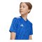 adidas Team Icon 25 Trikot Kids Blau - blau