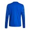 adidas Team Icon 25 Trikot Kids Blau - blau