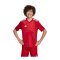 adidas Team Icon 25 Trikot Kids Rot - rot