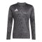 adidas Team Icon 25 Trikot Schwarz - schwarz