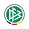 adidas Technik Paket DFB Punktespiel - mehrfarbig