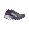 adidas Damen Terrex Agravic GTX Laufschuh Lila - lila