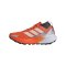 adidas Damen Terrex Agravic GTX Laufschuh Weiß - weiss
