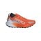 adidas Damen Terrex Agravic GTX Laufschuh Weiß - weiss