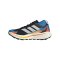 adidas TERREX Agravic GTX Laufschuh Schwarz - schwarz