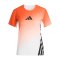 adidas TERREX Xperior Pro T-Shirt Damen Weiß - weiss