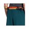 adidas Terrex Xperior Short Grün - gruen