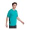 adidas Terrex Xperior T-Shirt Grün - gruen