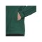 adidas Tiro 23 Competition Präsentationsjacke Grün - gruen