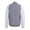 adidas Tiro 23 Competition Trainingsjacke Grau - grau