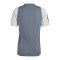 adidas Tiro 23 Competition Trikot Grau - grau